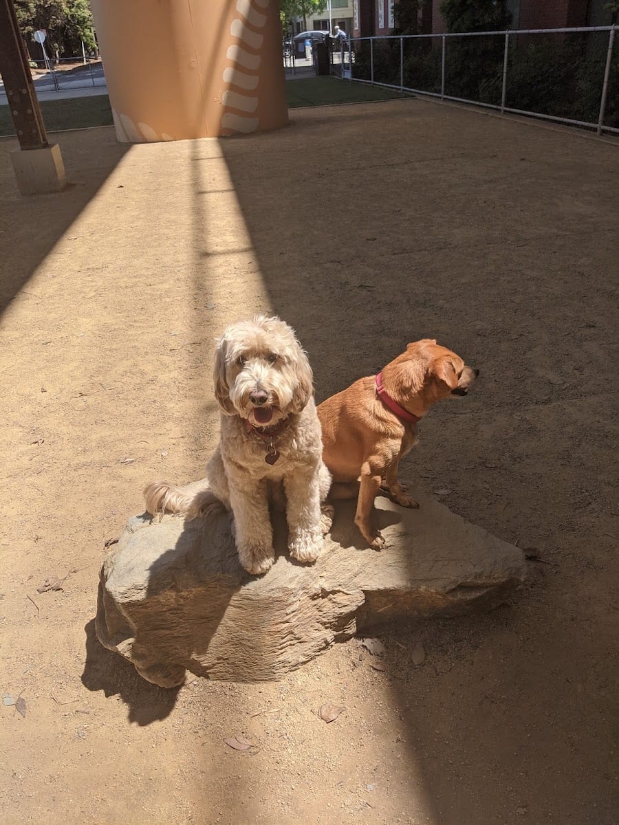 Avalon Dogpatch Dog Park, photo 3