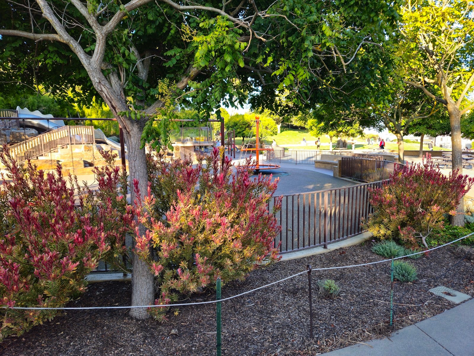 Lafayette Park Playground