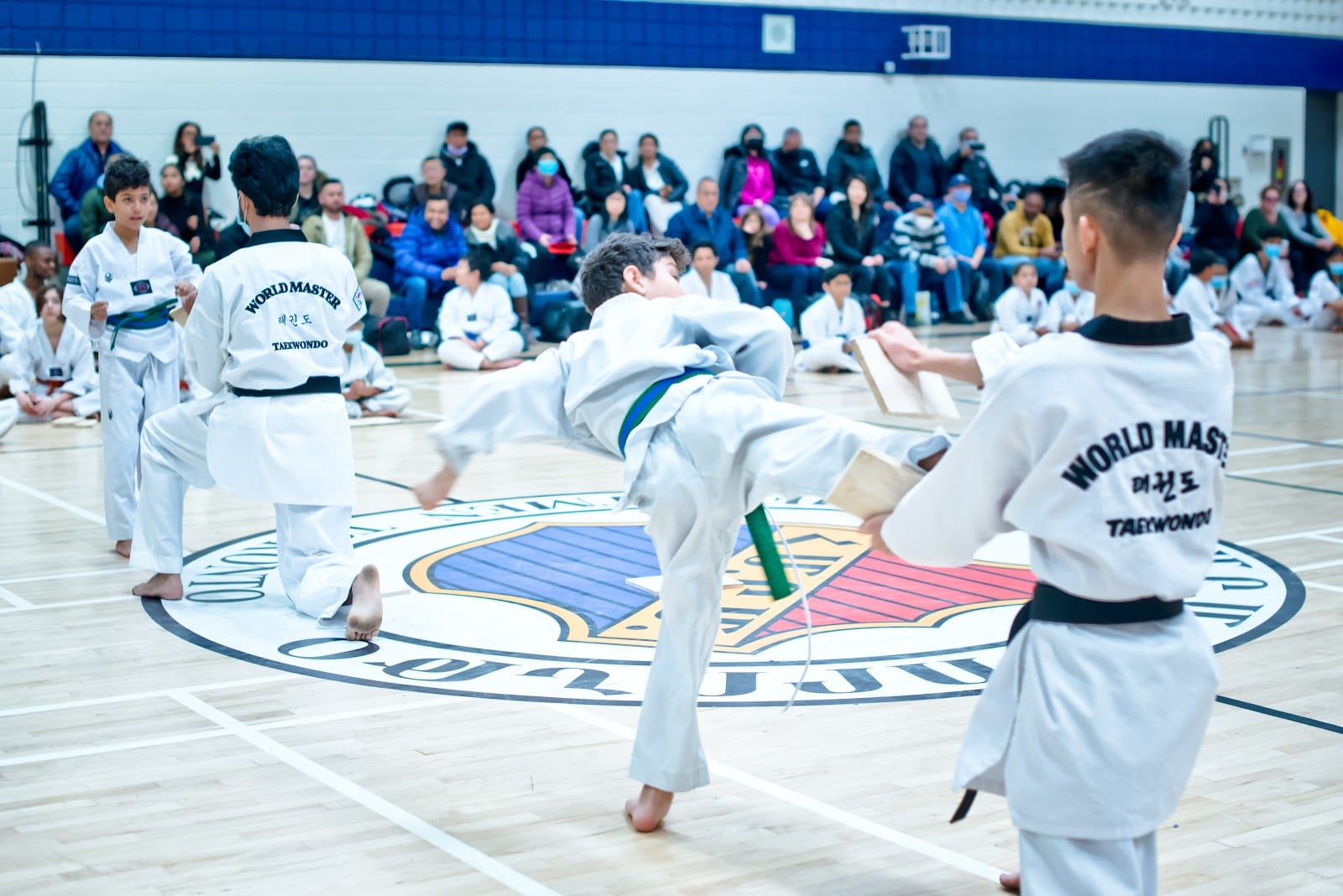 World Master Taekwondo Academy, photo 3