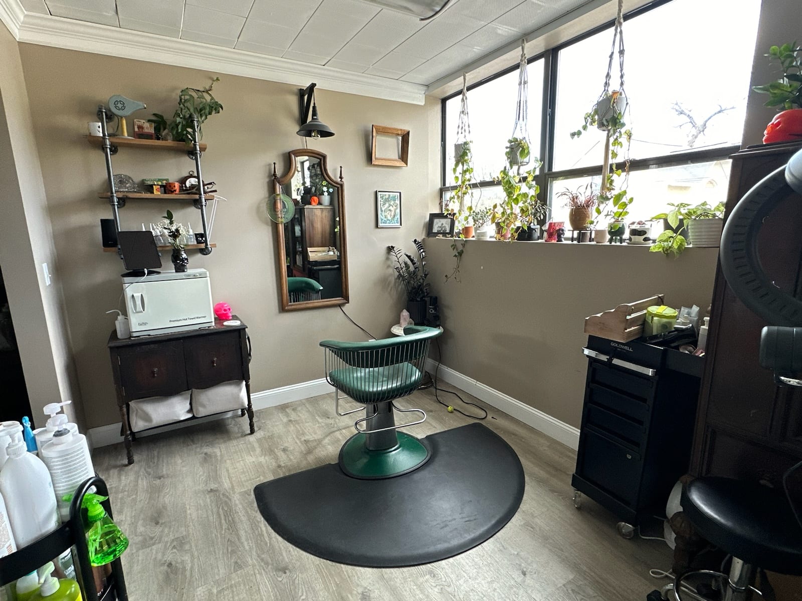 Haley Reff Hair and Beauty at Oddity Studio