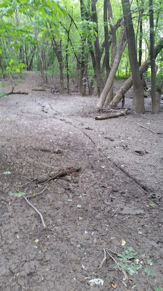 Bloomingdale Park, photo 4