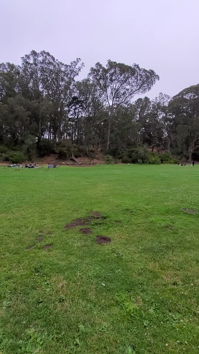 Marx Event Meadow, photo 2