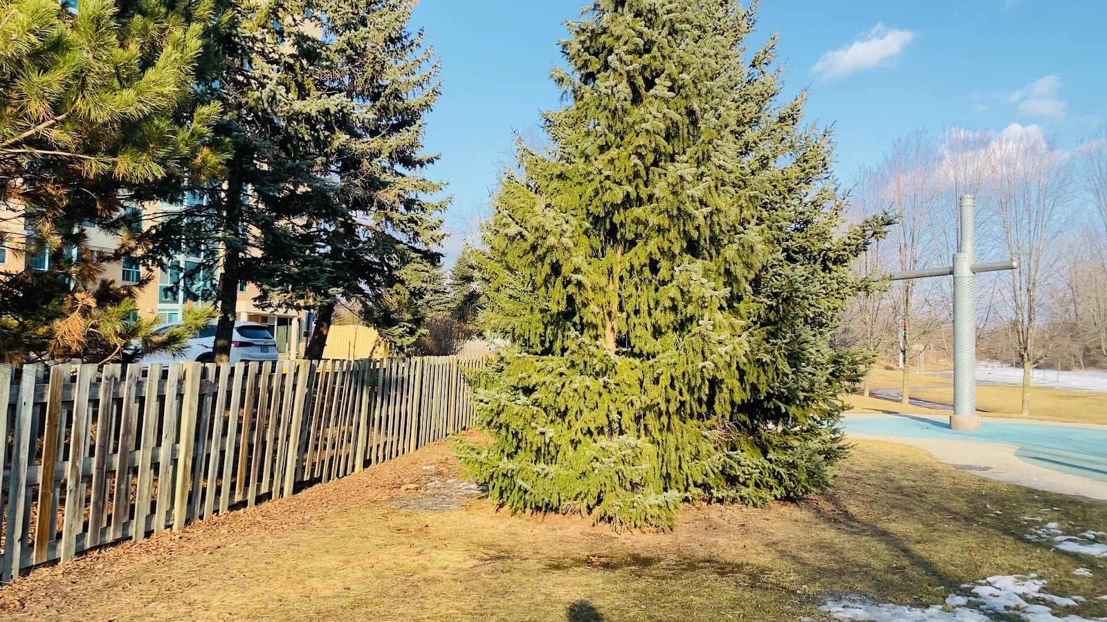 Bridgeview Cordone Park, photo 2