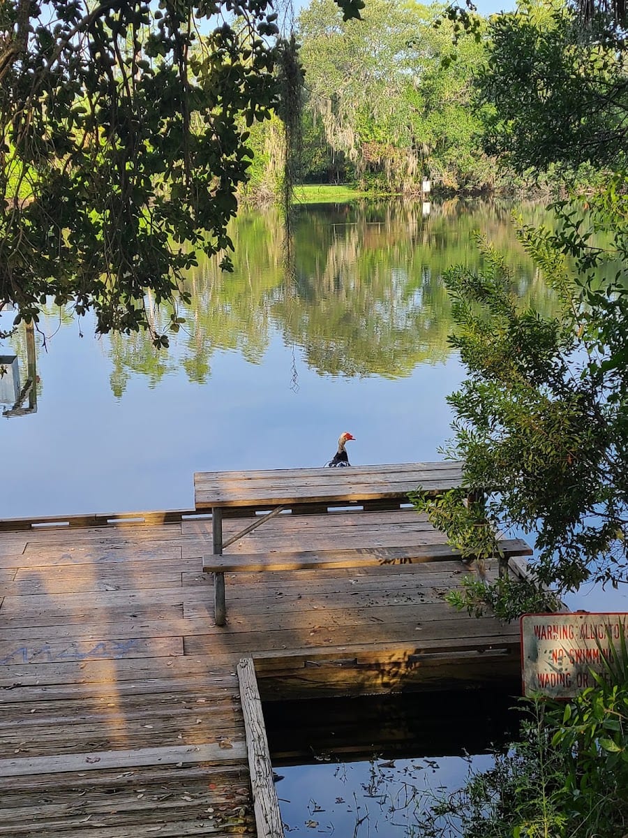 Al Lopez Park, photo 2