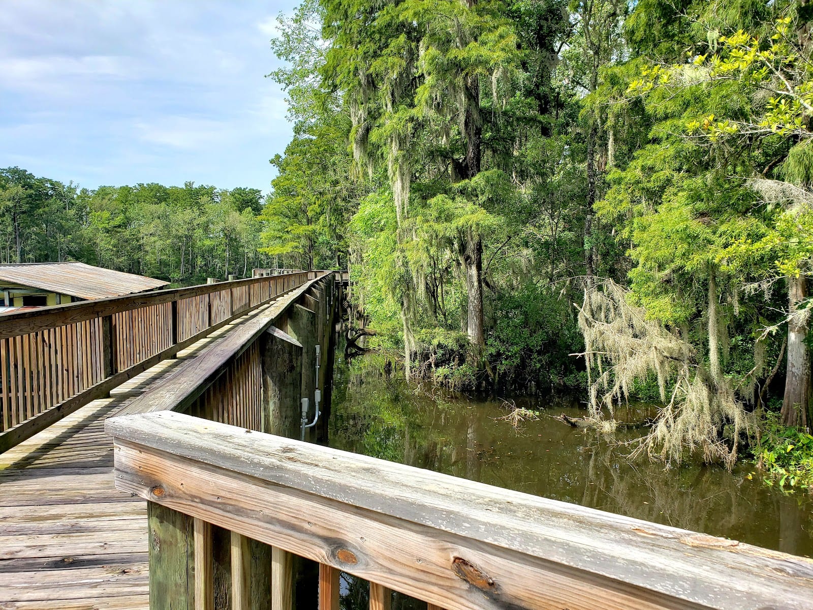 Mobile County River Delta Nature Walk, photo 2