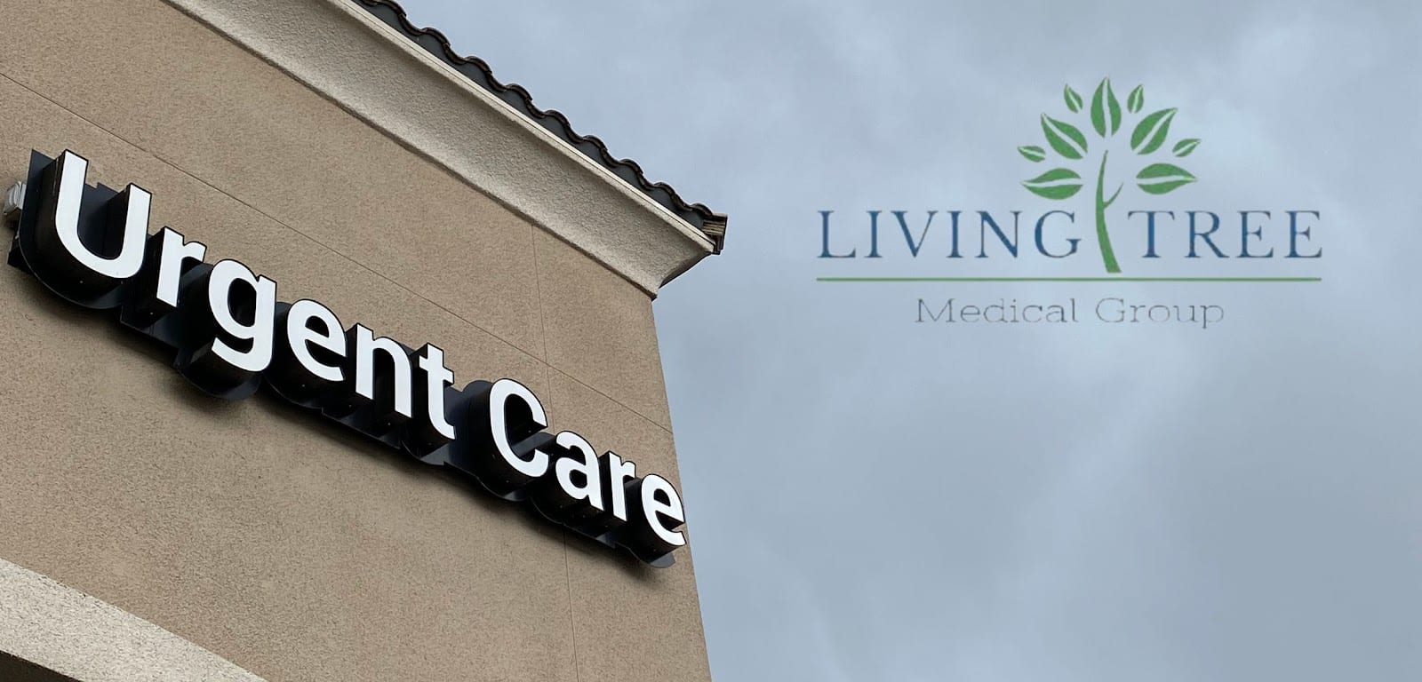 Living Tree Urgent Care and Family Practice - Logan, photo 4