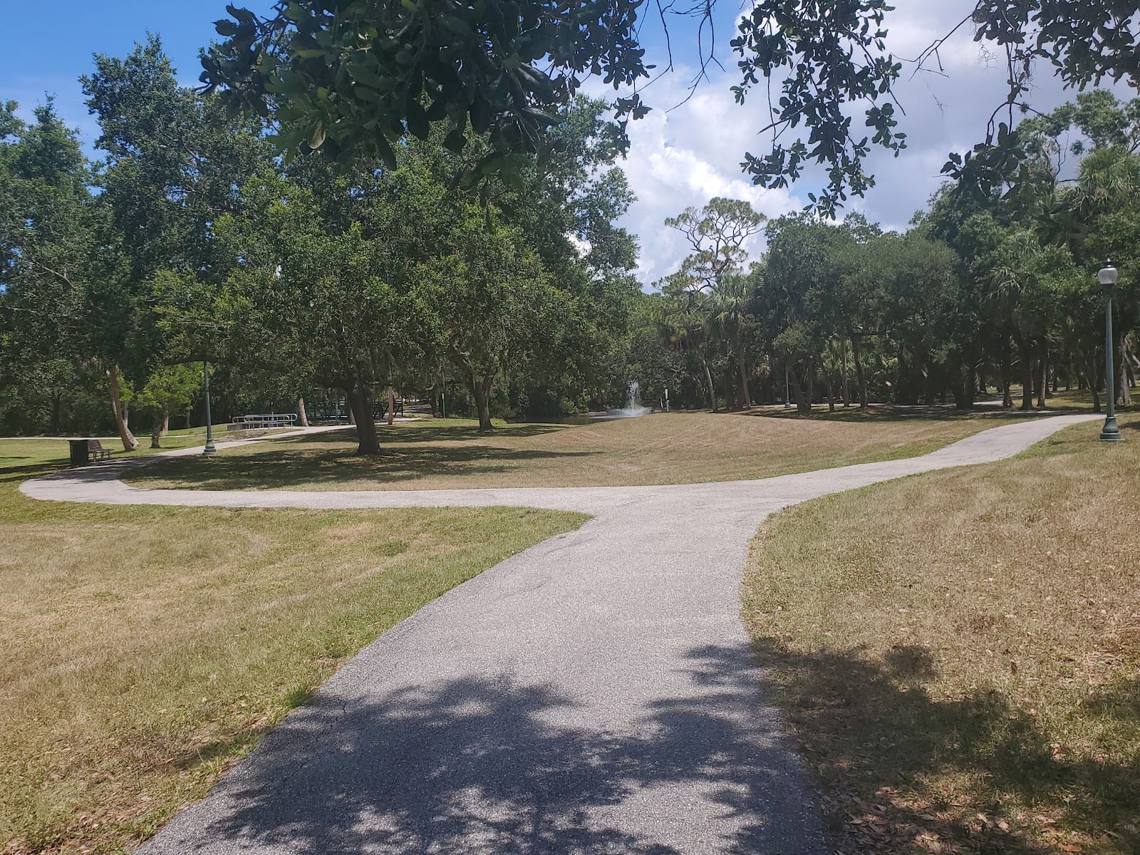 Dog Park