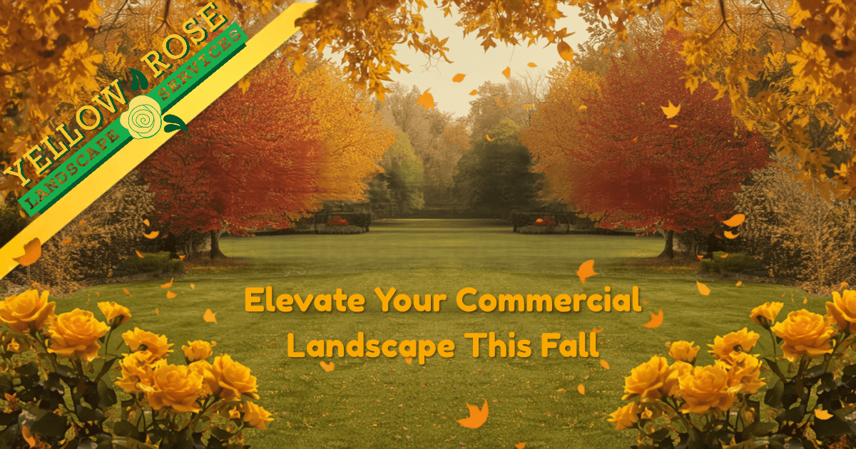 Yellow Rose Landscape Services