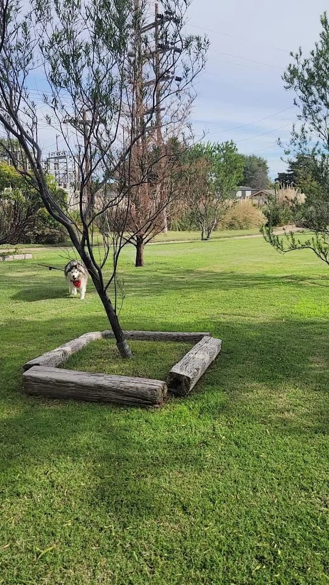Clapp Park, photo 2