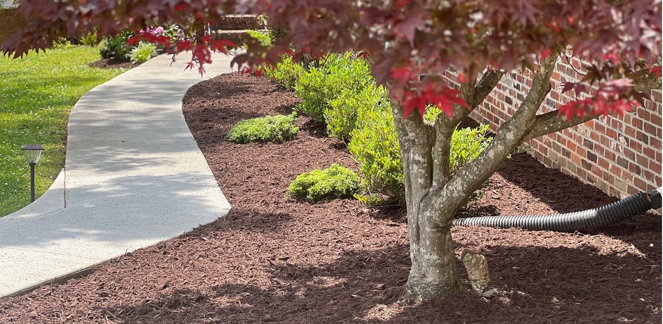 Southern Visions Lawn & Landscape, LLC, photo 2
