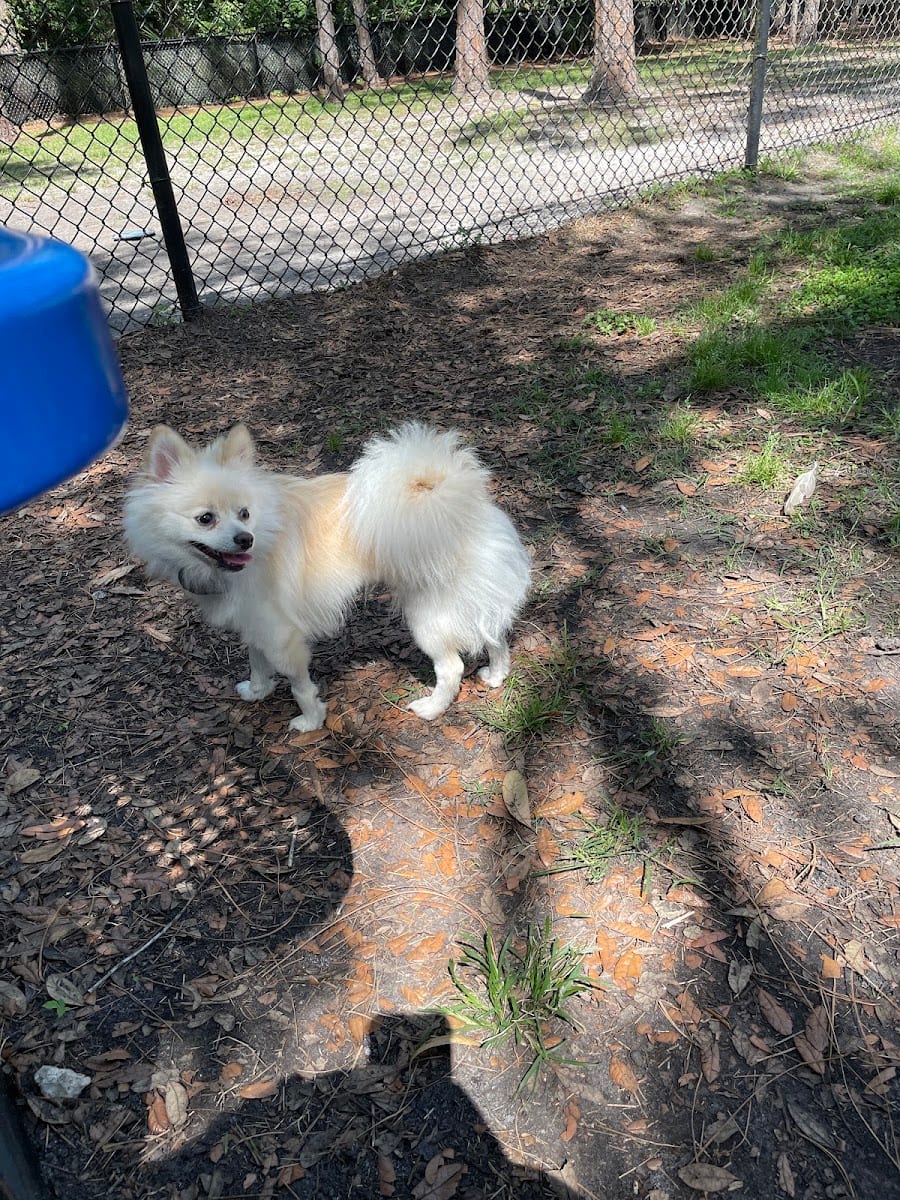 Compton Place dog park, photo 3