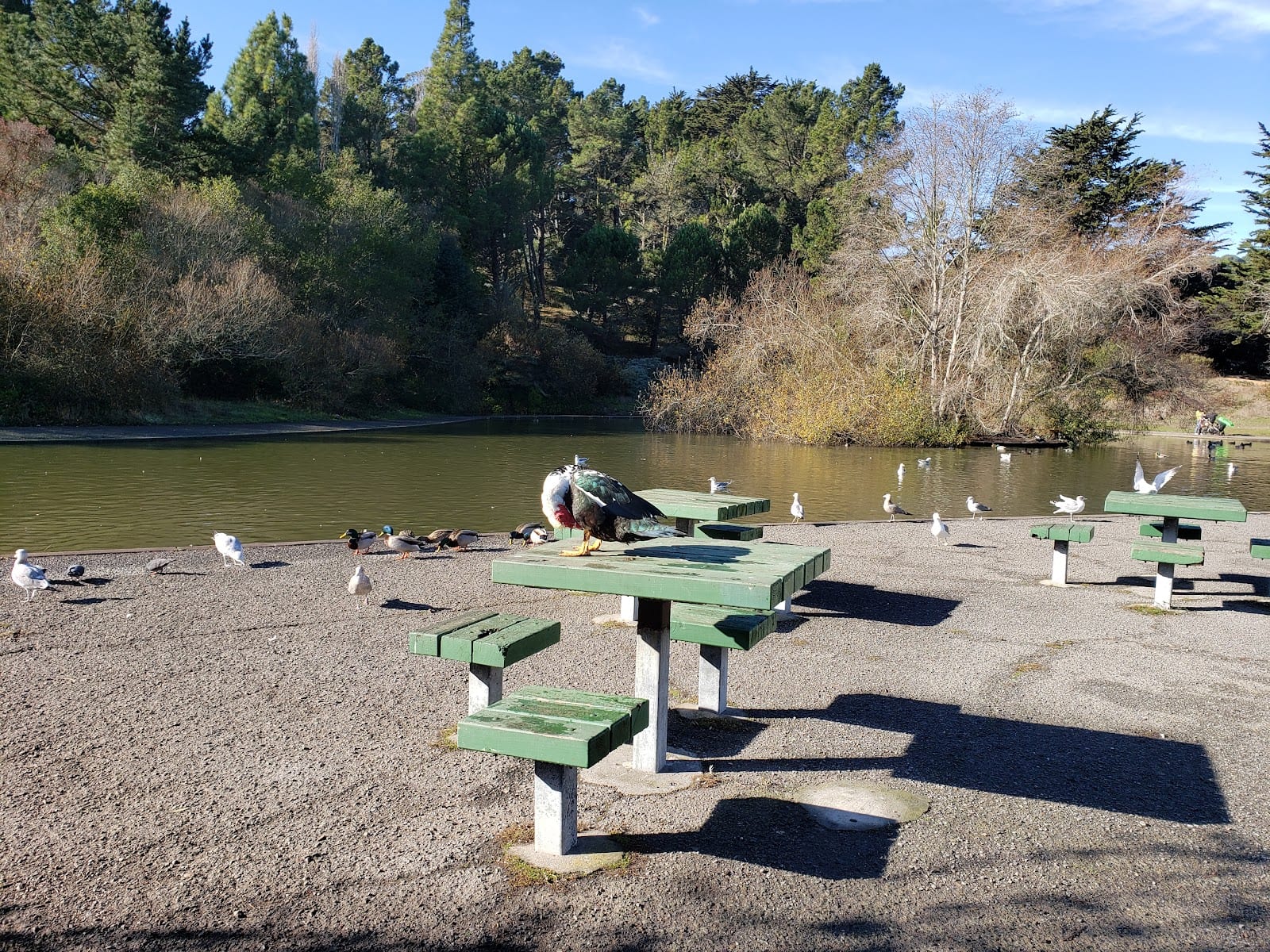 John McLaren Park