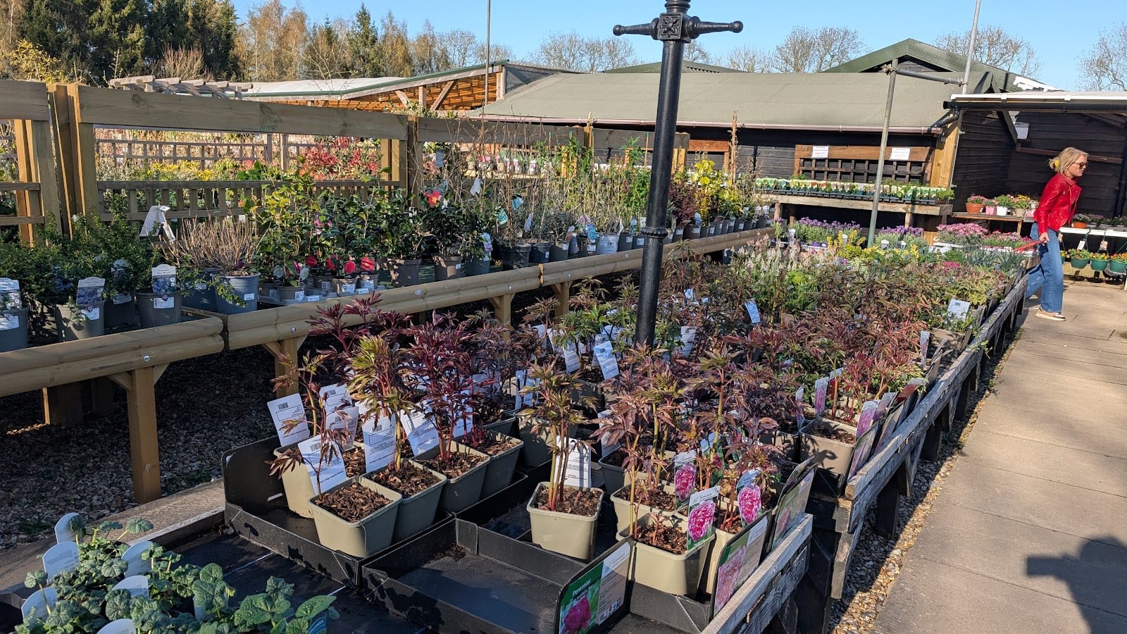 The Hertfordshire Garden Centre