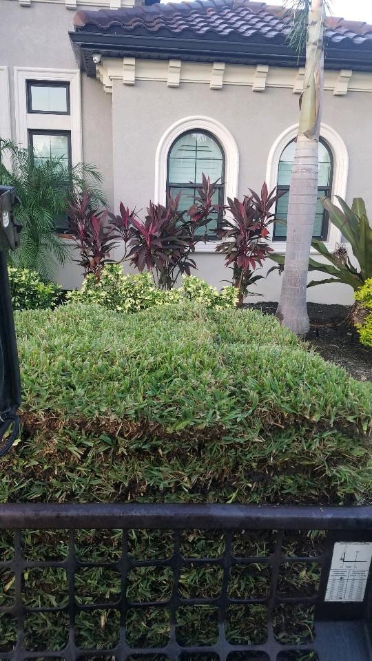Yard Corps Lawn Care and Landscape, photo 2
