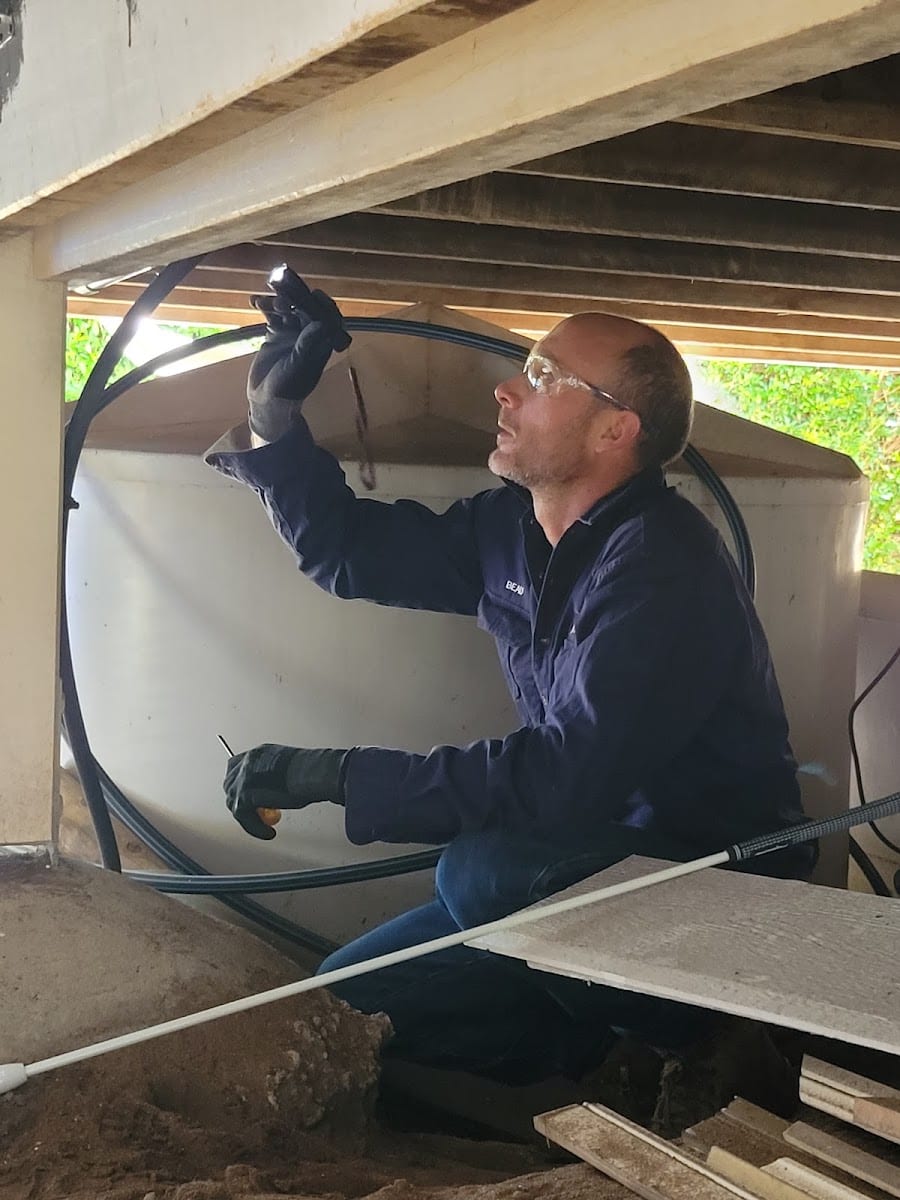 Reliable Pest Control Sarina & Surrounds