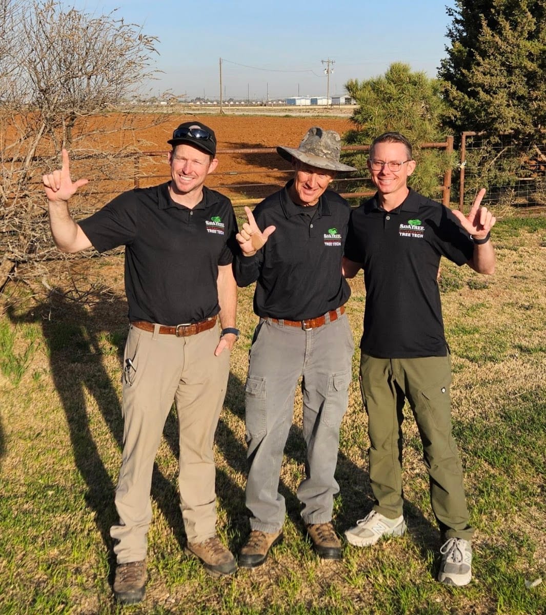 Hildebrandt Tree Tech - SavATree, photo 2