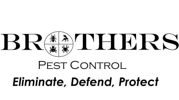 Brothers Pest Control, photo 3