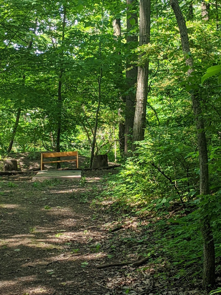 Tillman Park