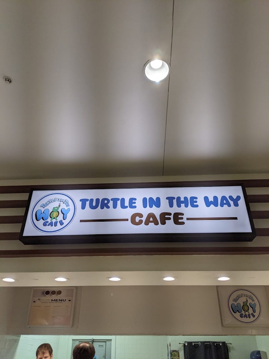 Turtle in the Way Cafe, photo 3