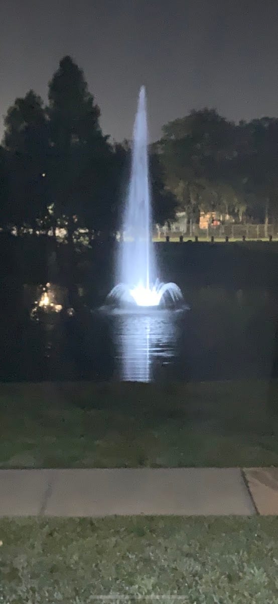 Herbert D. Carrington Sr. Community Lake
