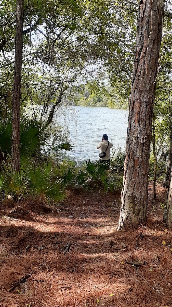 Sleeping Turtles Preserve South, photo 3