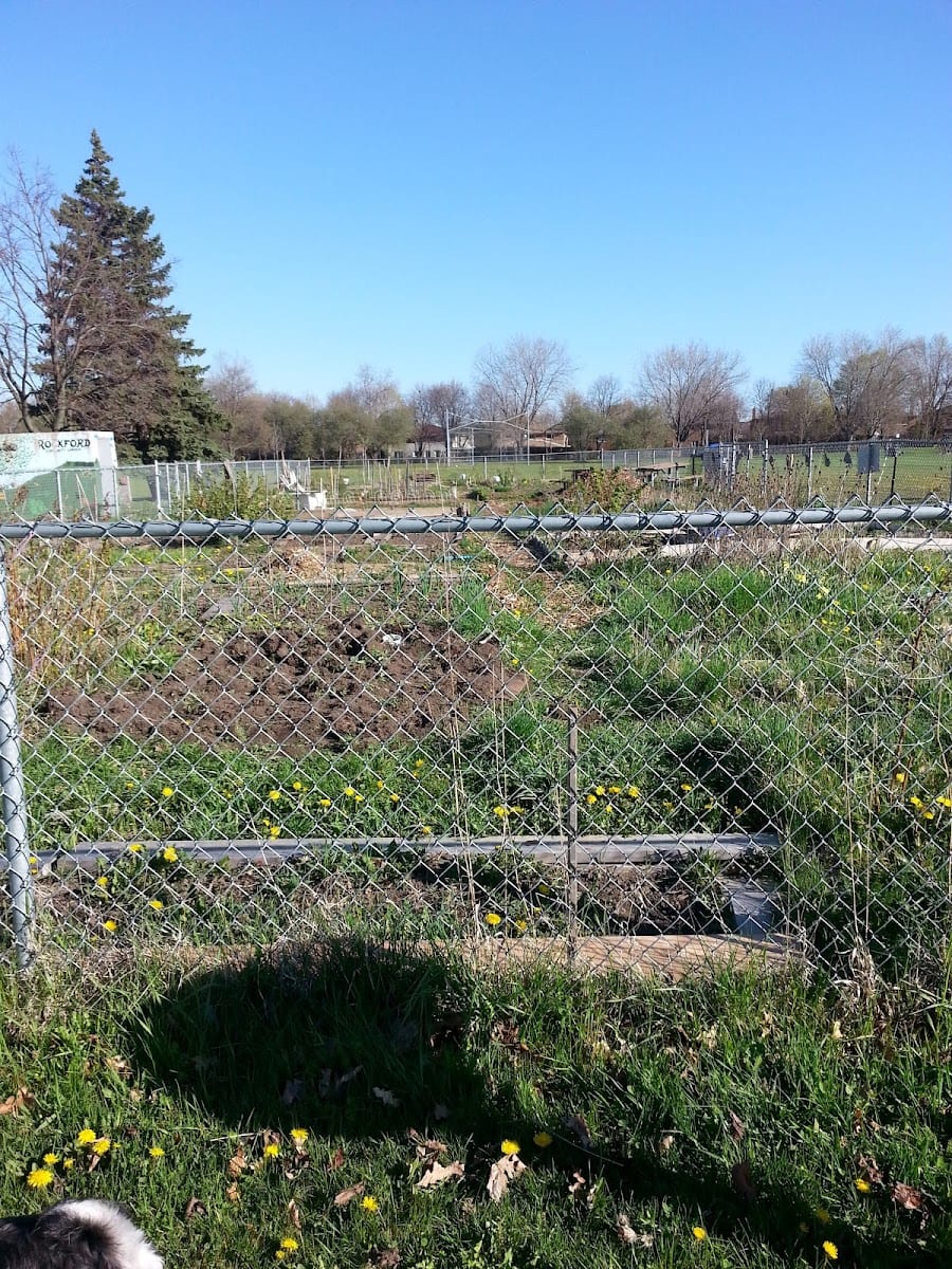 Rockford Park, photo 3