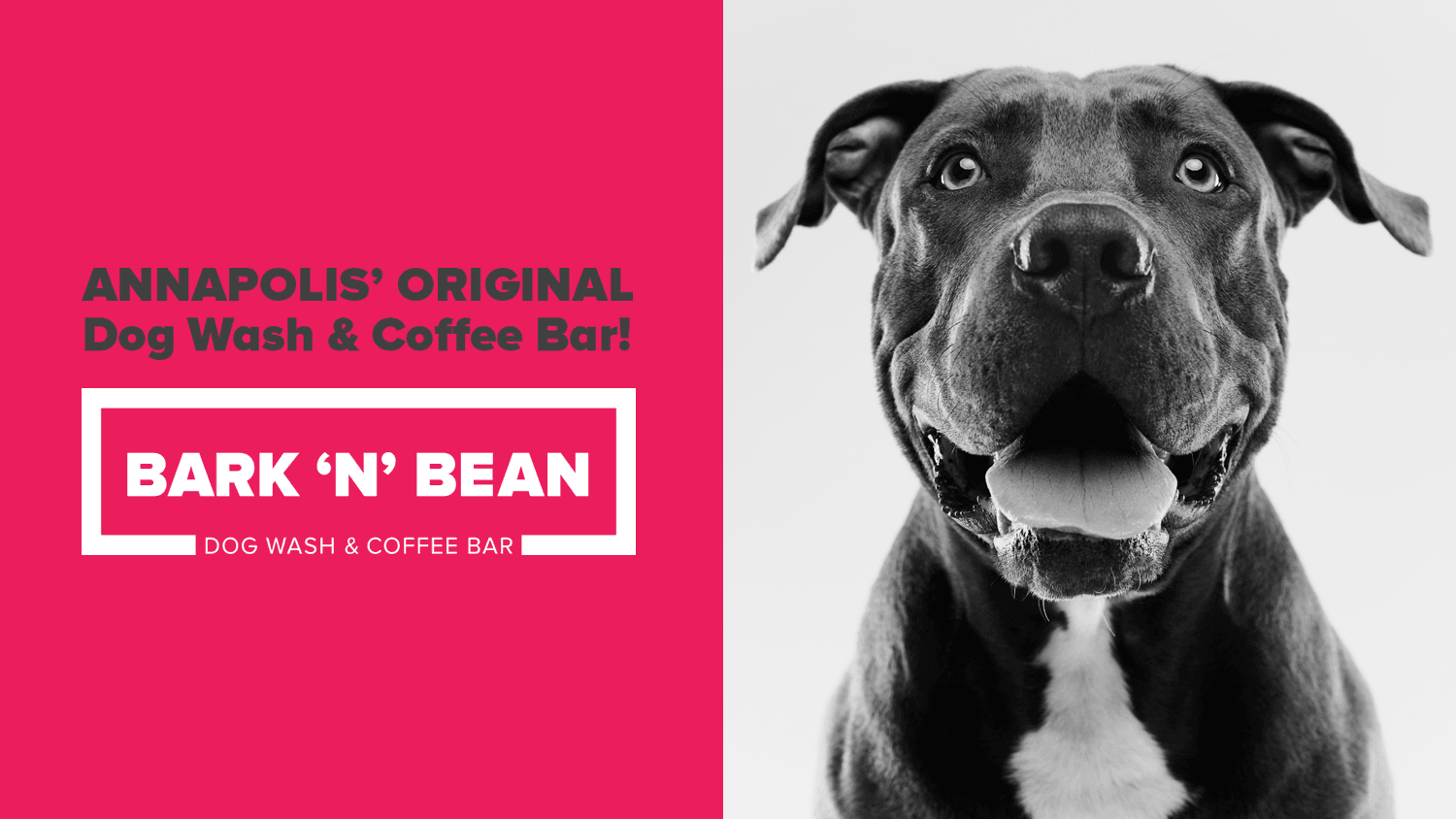 Bark 'N' Bean