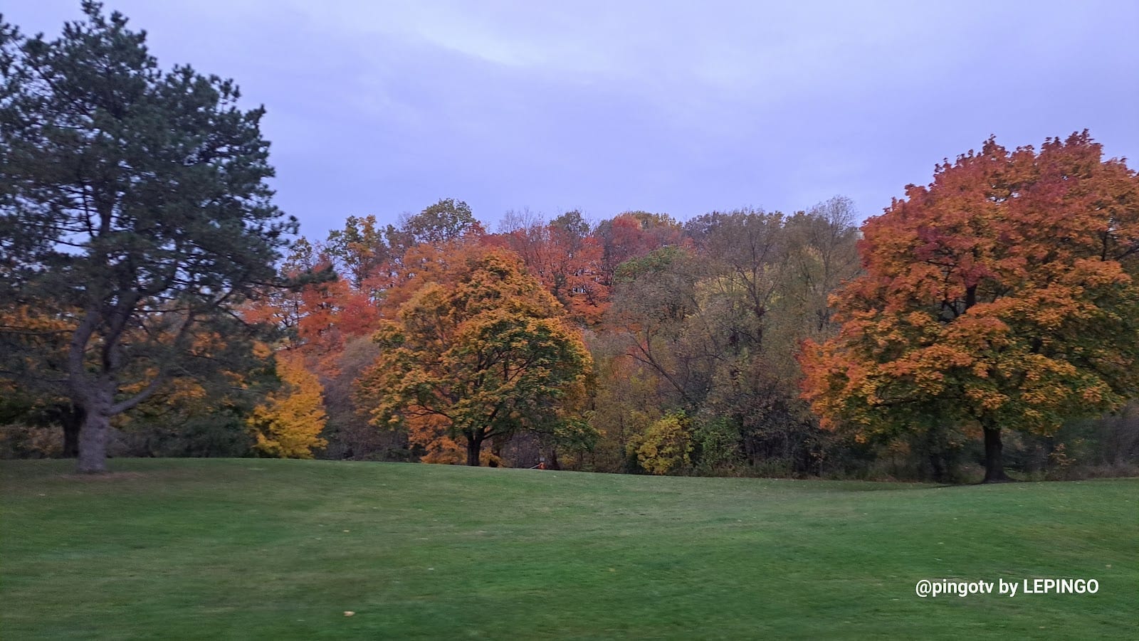 Edwards Gardens Trail Head, photo 3