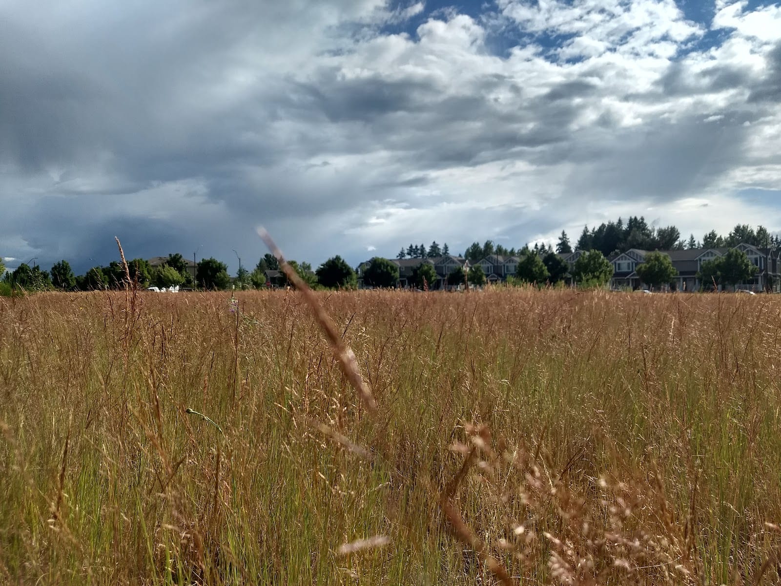 Kettle View Park