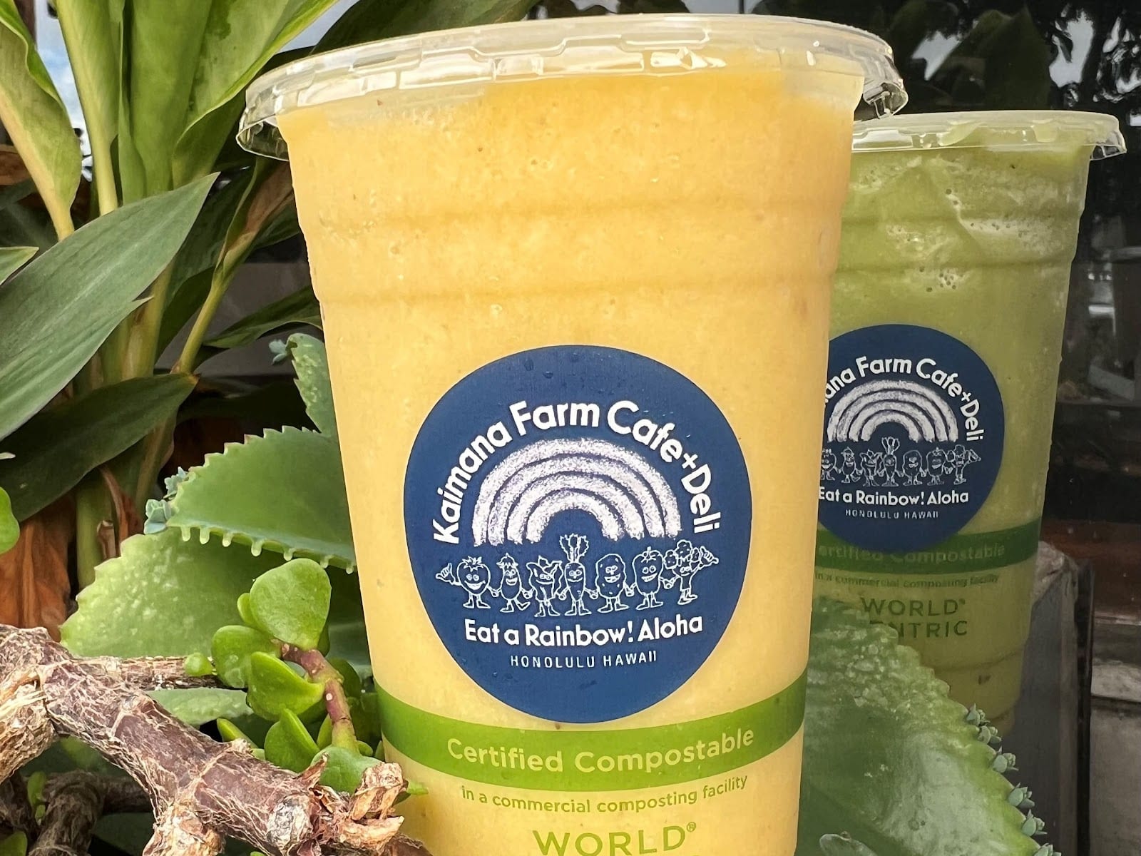 Kaimana Farm Cafe