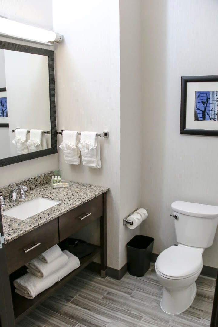 Holiday Inn & Suites Denver Tech Center-Centennial by IHG, photo 4