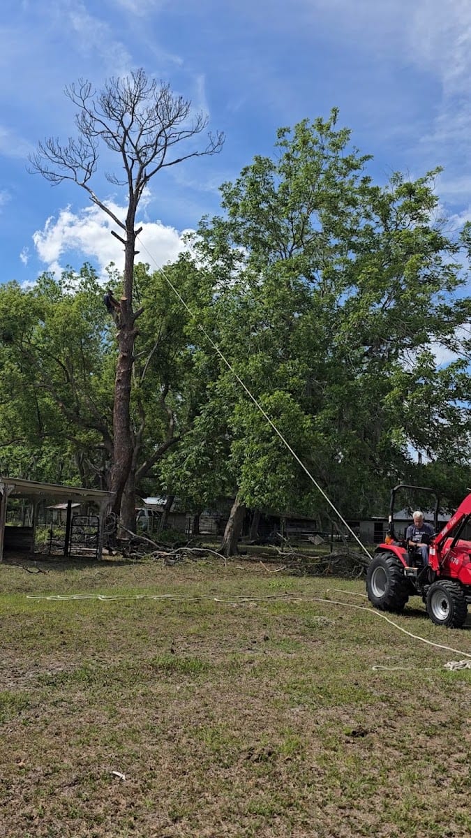 Patriot Trees And More LLC
