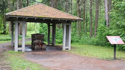 Karista Spring