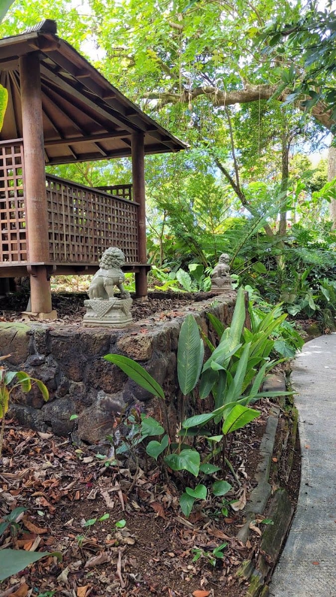 Kahaluʻu Gallery and Gardens
