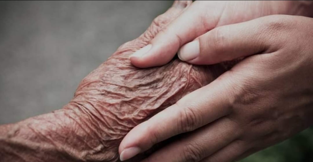 Halo Homecare LLC