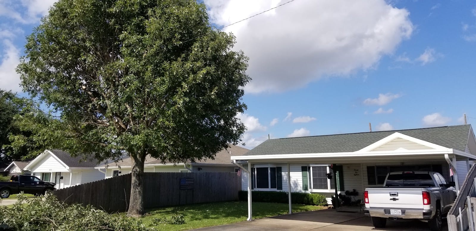 Hagan tree services