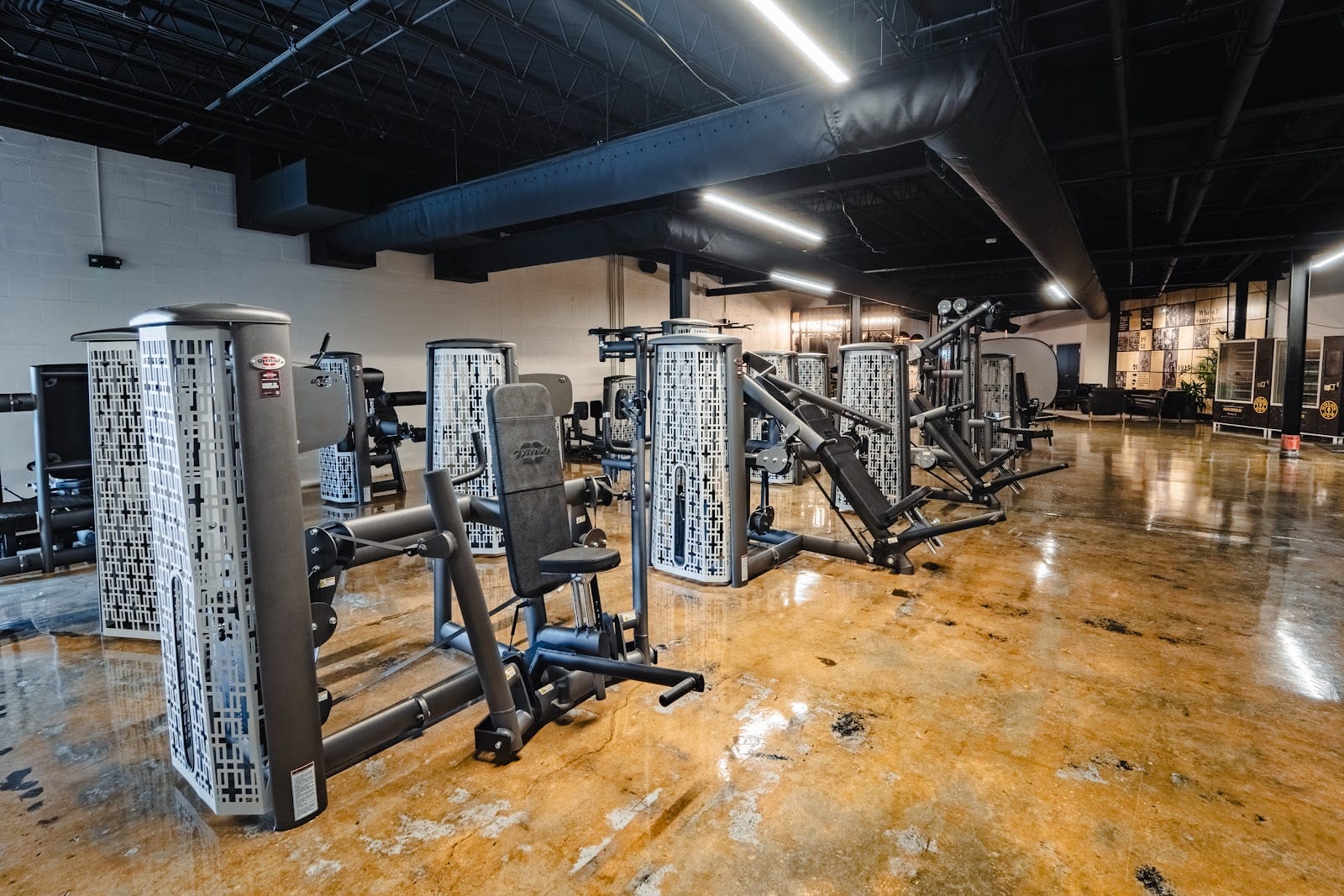 Gold's Gym Tampa Gas Worx, photo 2