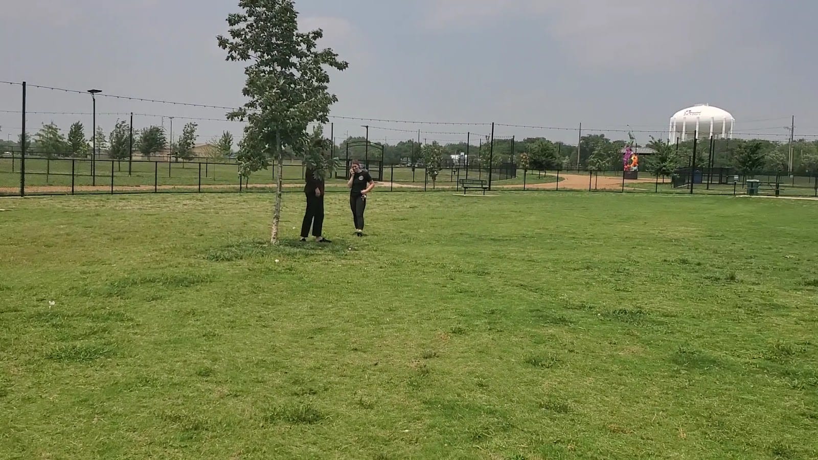 North Lakes Dog Park, photo 3