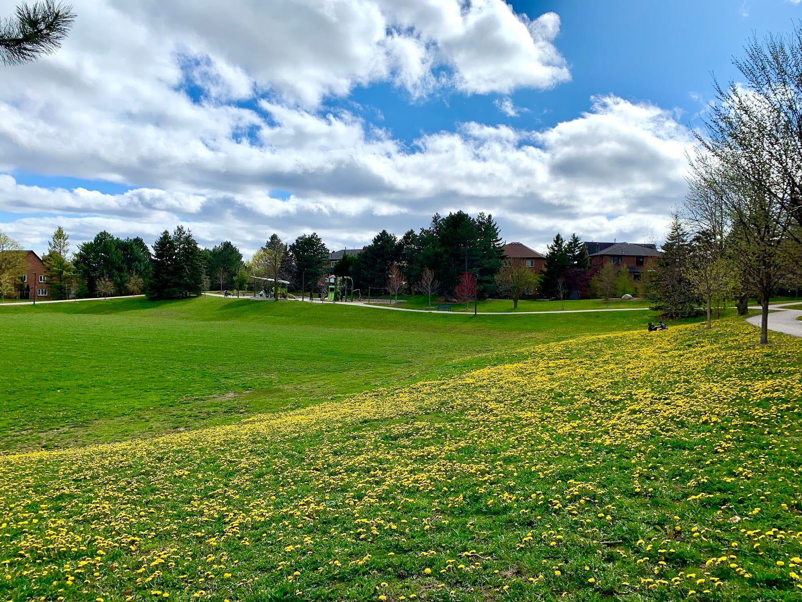Gapper Park