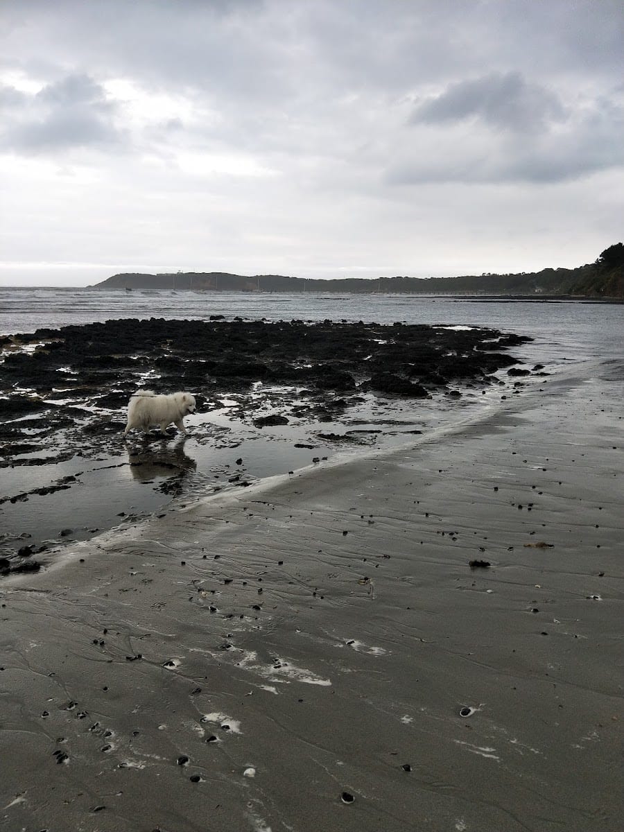 Flinders Dog Beach