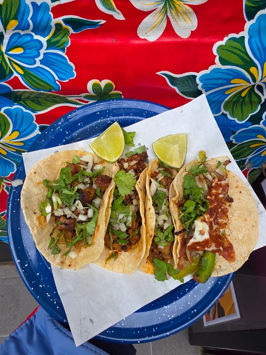 El Nopal, photo 4