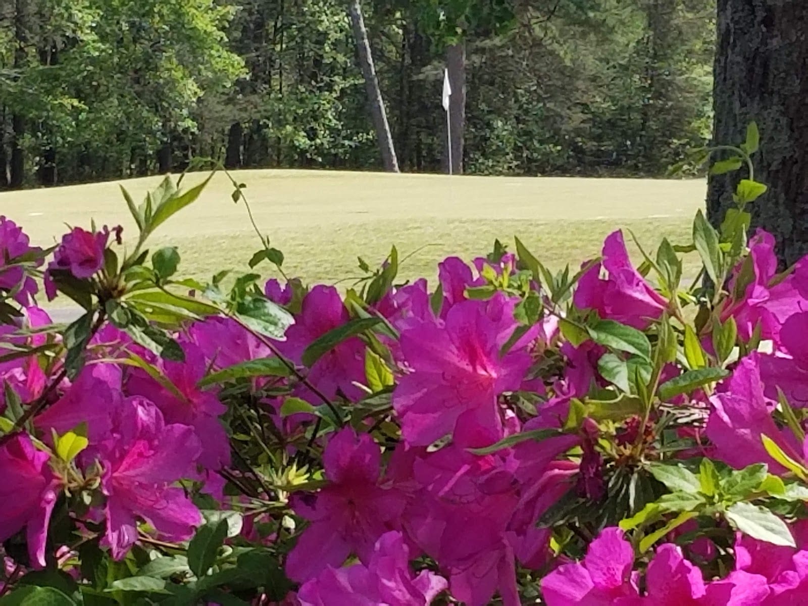 Stone Creek Cove Golf Course