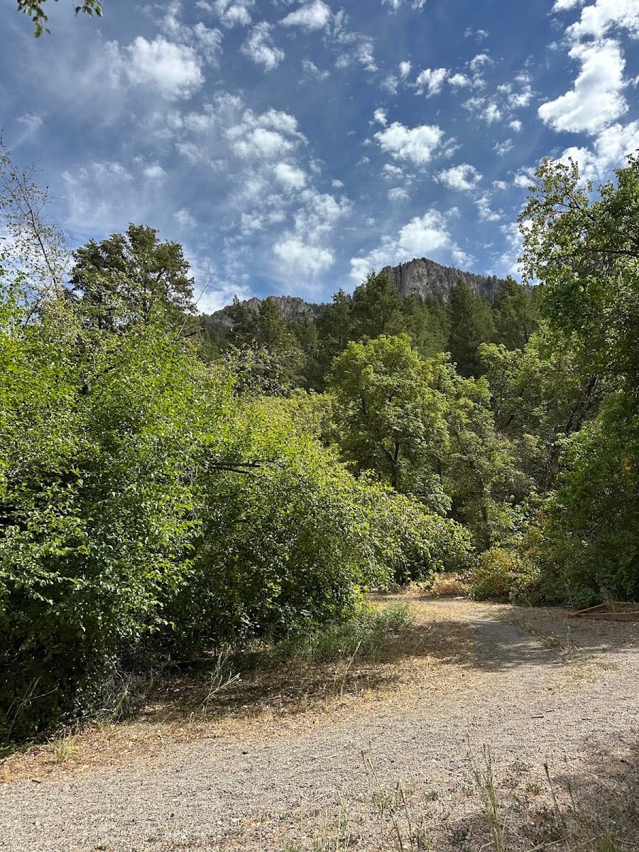 Cache Mountain Resort, photo 3