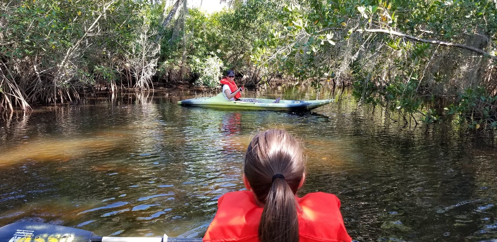 Oscar Scherer State Park, photo 3