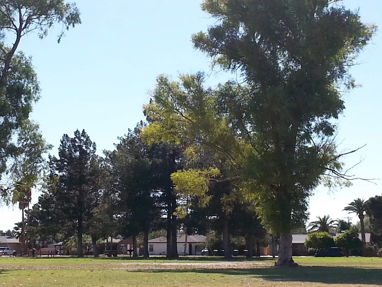 Merle J. Toumey Park, photo 2