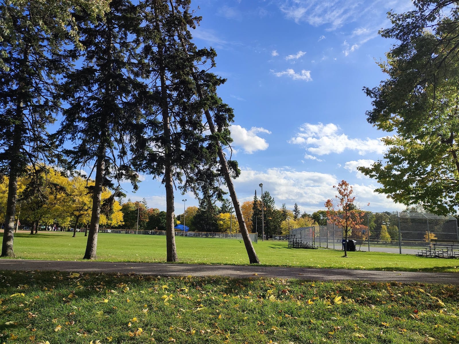 Elie Wiesel Park, photo 3