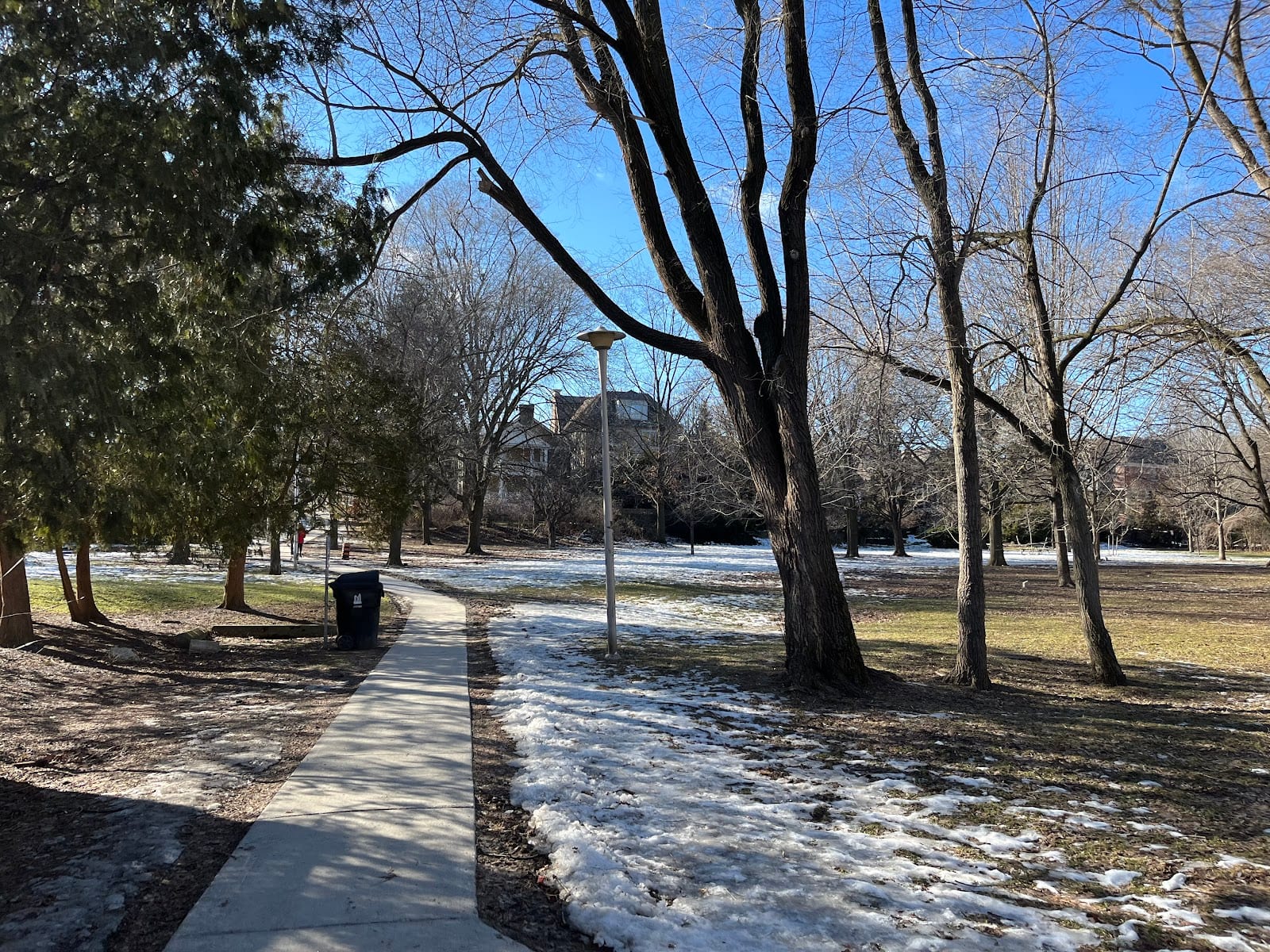 Forest Hill Road Park, photo 3