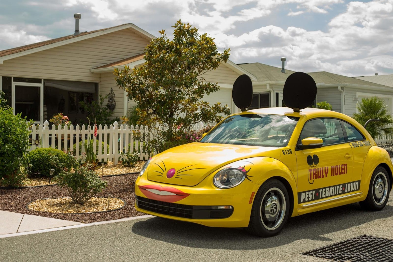 Truly Nolen Pest & Termite Control, photo 3