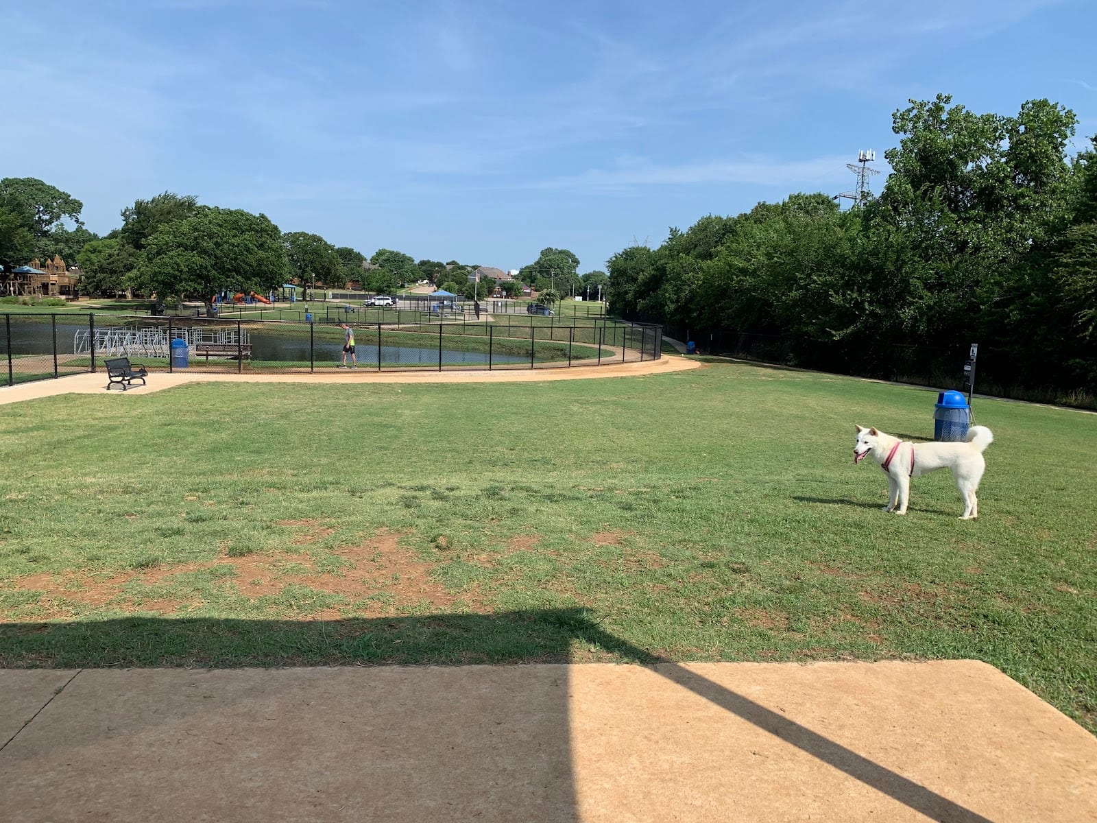 Briarhill dog park