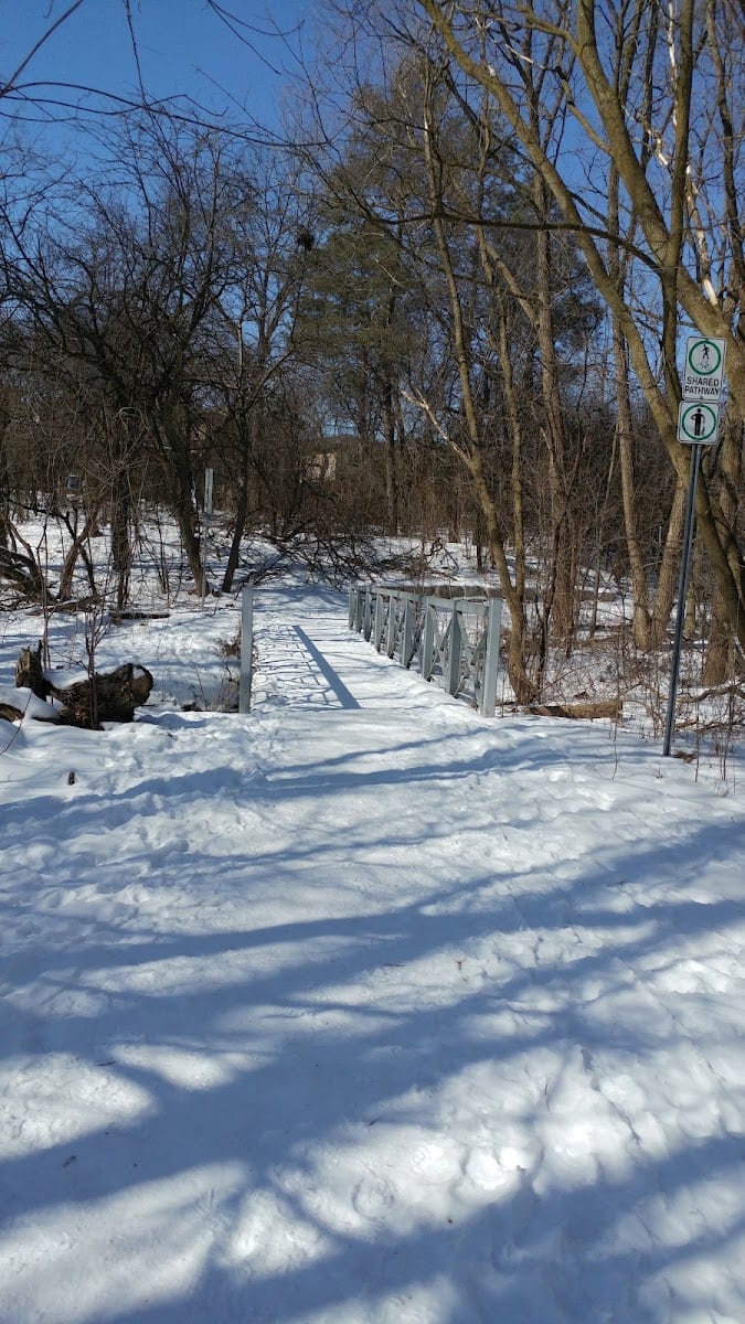 South Richvale Greenway Walk, photo 2